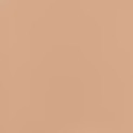 2Y20 Warm Nude - light to medium skin tones with yellow undertones