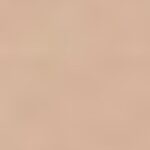 010 Porcelain Neutral