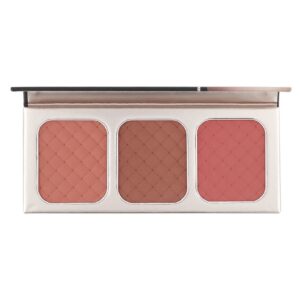 CHARACTER 3 COLOR GO BLUSH PALETTE NTE