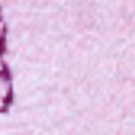 Lavender Luv'r - pure periwinkle sparkle