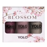 Blossom Limited Edition