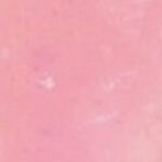 101 - Sweet Sugar Kiss