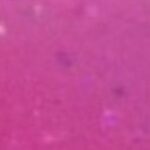 102 - Wish Upon a Kiss