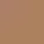 10 - cinnamon spice