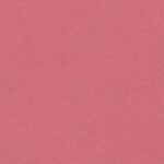 Rosy - soft rose