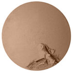 005 Golden Tan