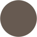 004 Shadow