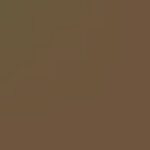 04 - Neutral Brown