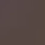 06 - Dark Brown